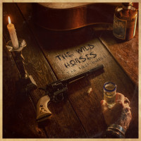 THE WILD HORSES "THE LAST BULLET"